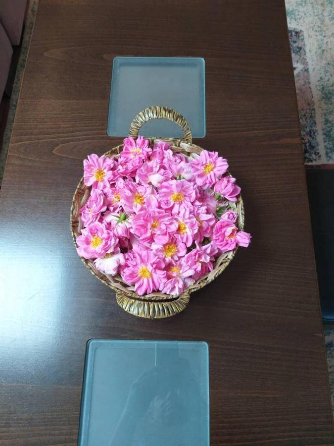 Вила В С. Габарево, Долината На Розите. Gabarevo Eksteriør billede